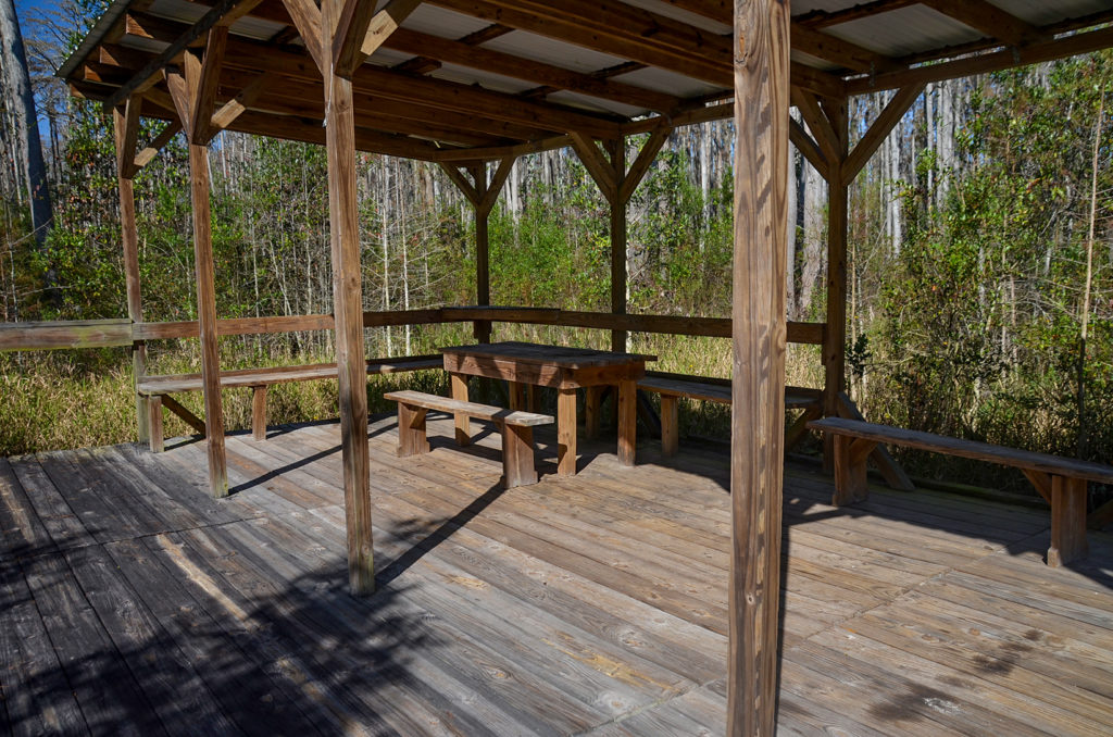 Inside Minnie's Shelter