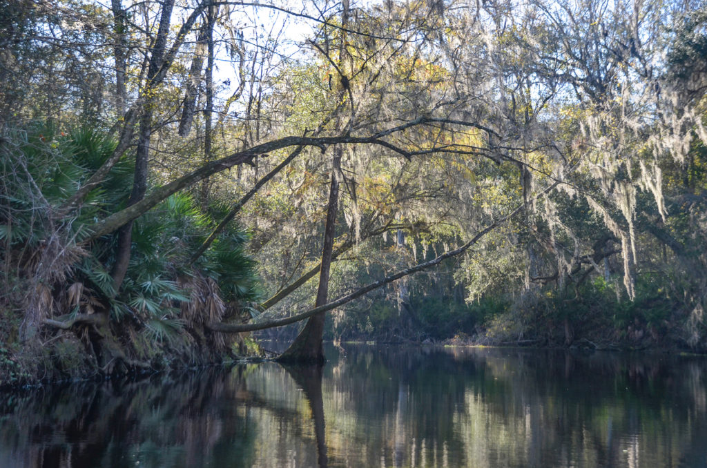 Late afternoon - River Rise