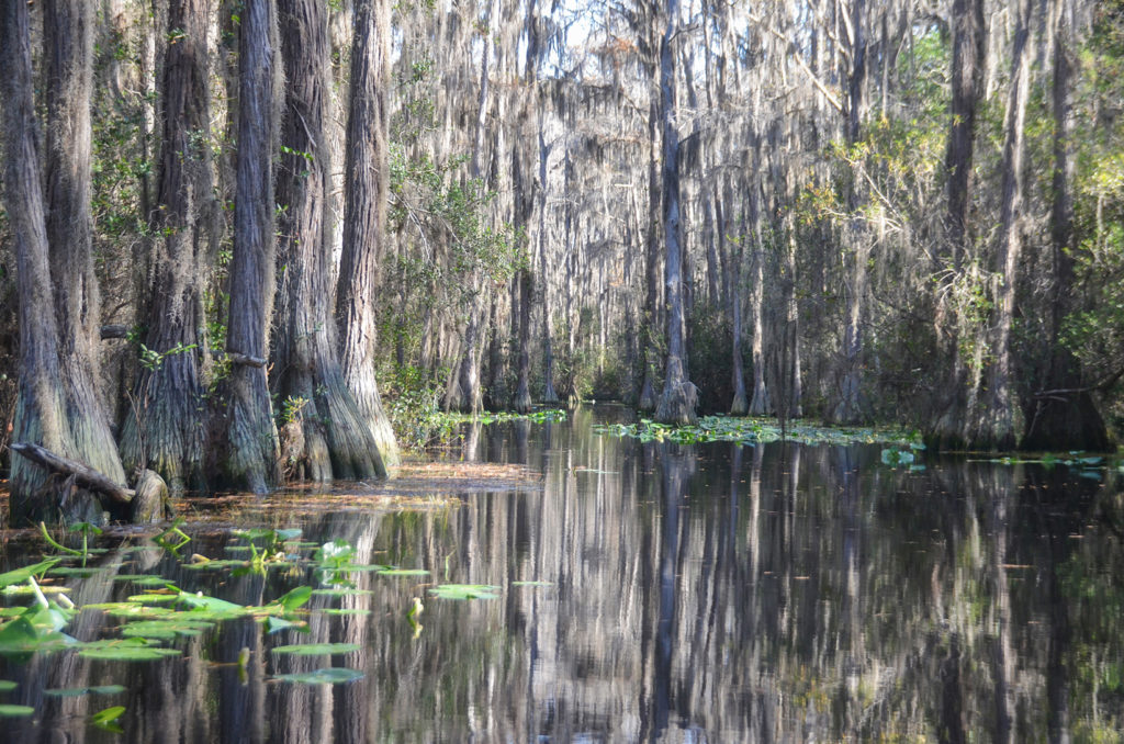 On the way to Minnie's Lake