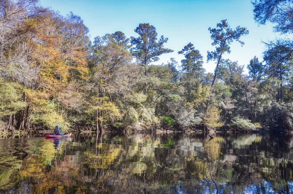 Paddling Downstream - River Rise