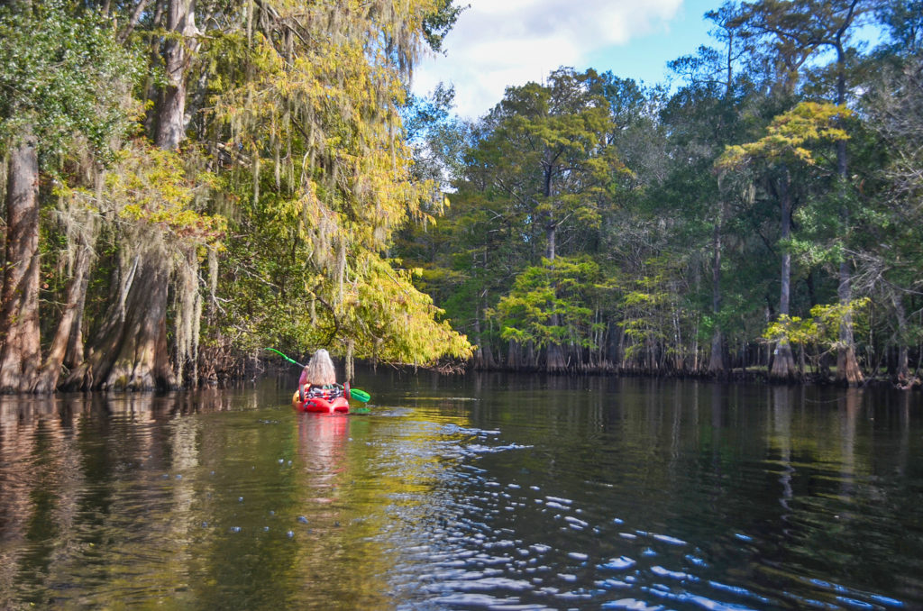 Paddling the Withlacoochee River