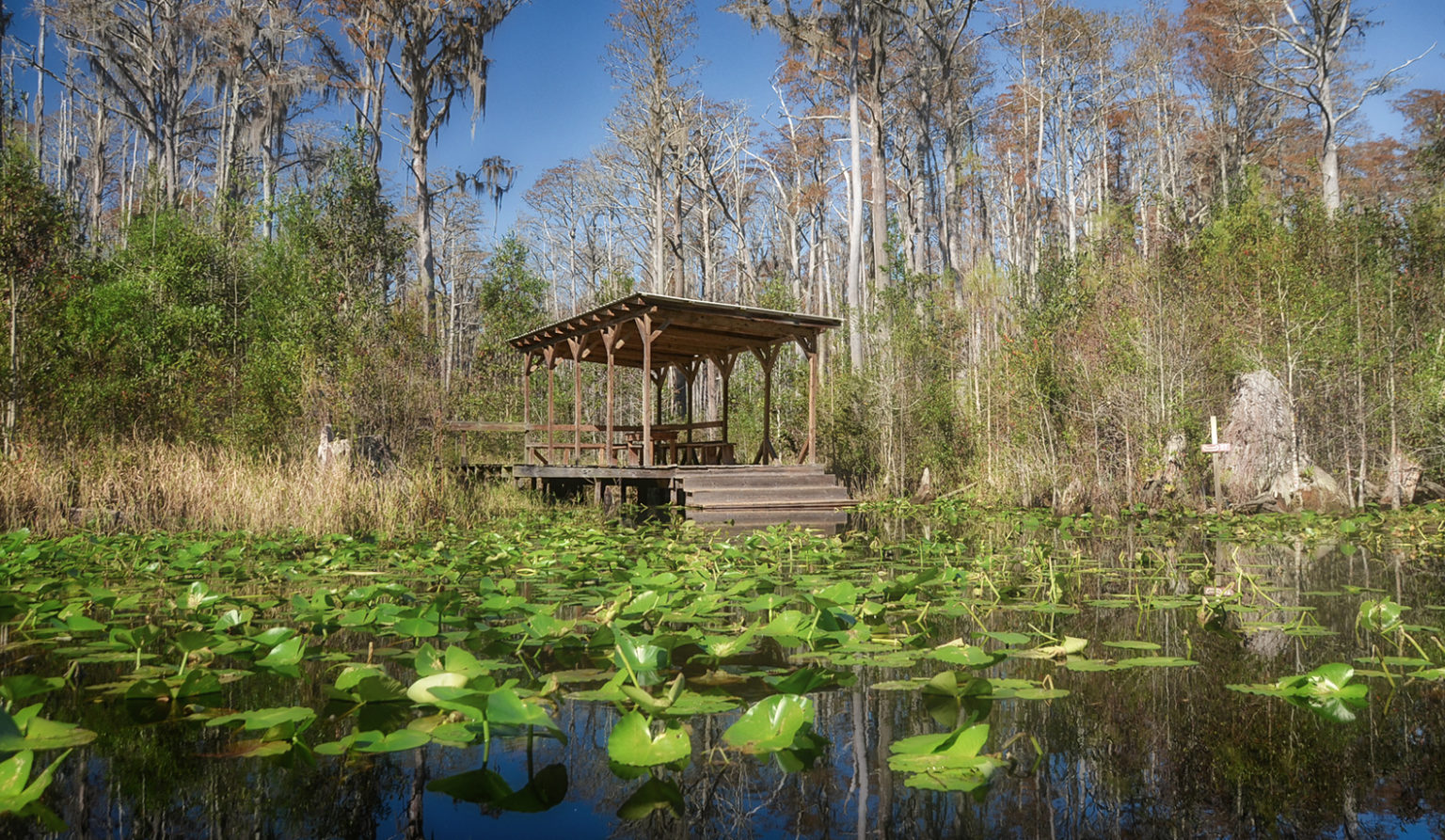 The Shelter at Minnie’s Lake | Florida Paddle Notes