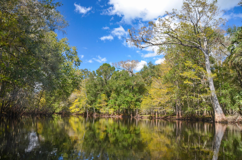 The Withlacoochee River