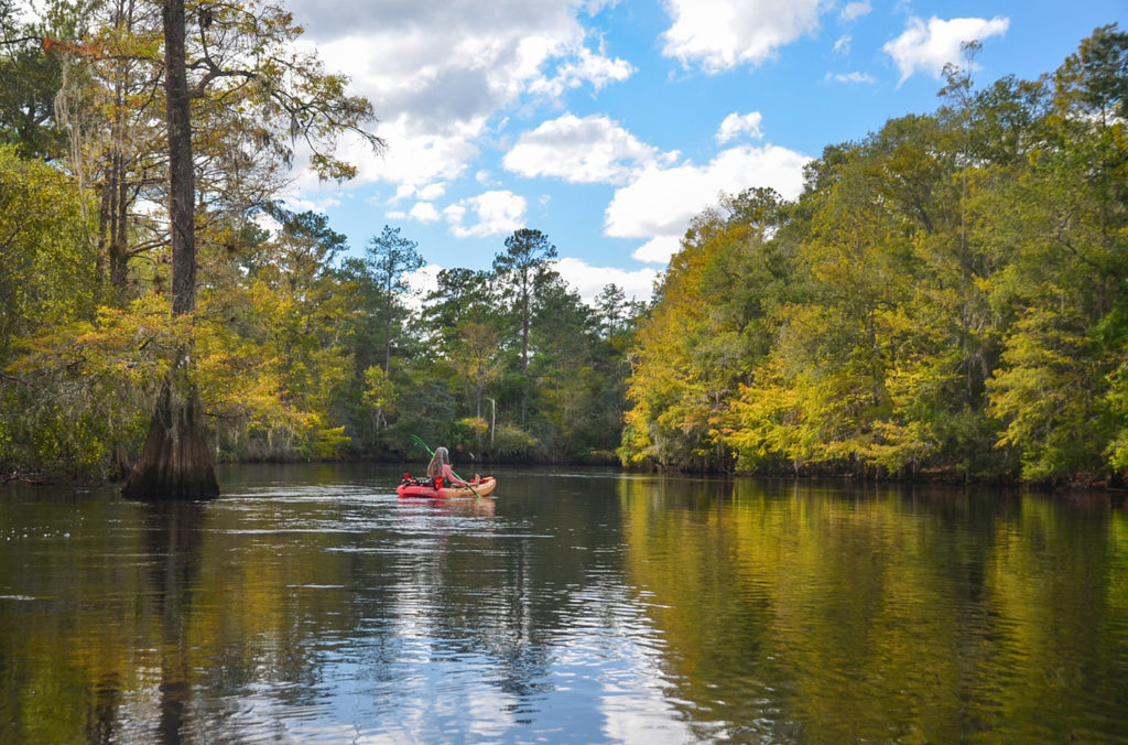 The Withlacoochee River South