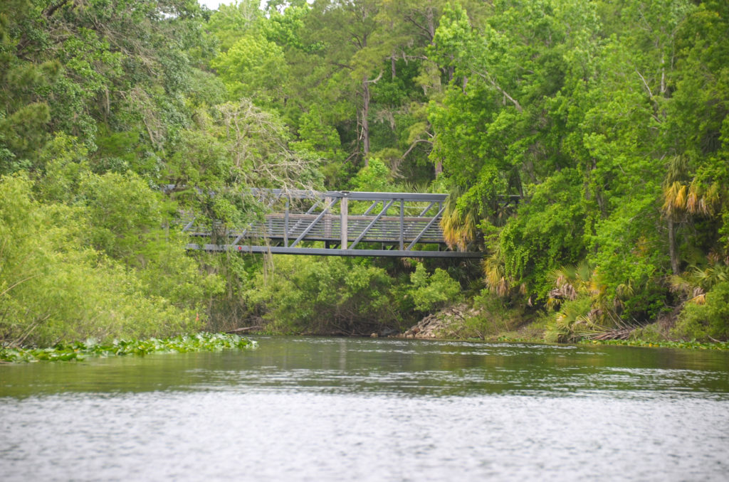 Pedestrian Bridge to Viewing Platform