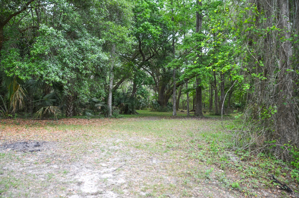 Prairie Campground along the Ocklawaha River