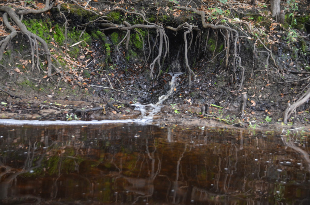 Seepage into Ocklawaha River