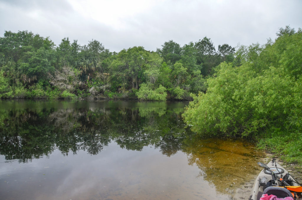 The Ocklawaha River at Moss Bluff