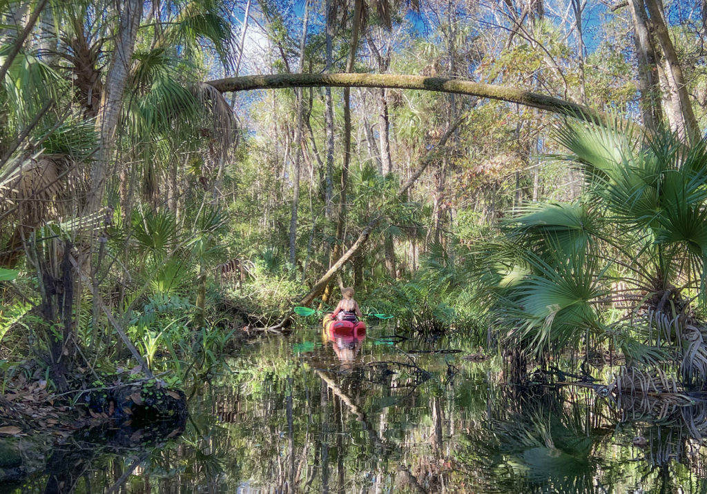 A side lagoon - Homosassa