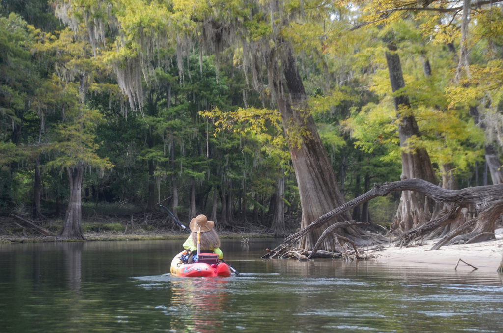 Entering Santa Fe River