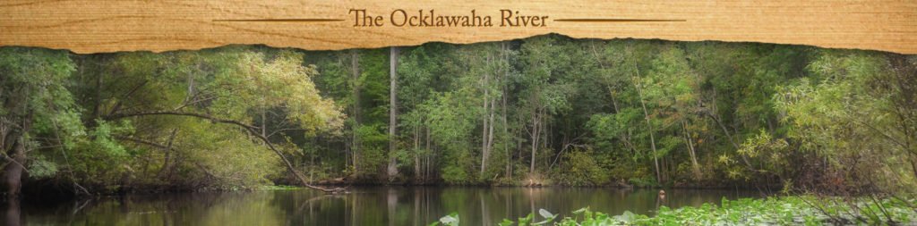 new featured image - the ocklawaha