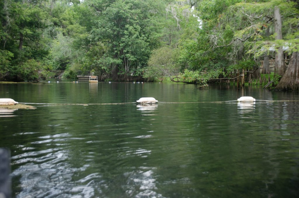 Barrier to the Spring