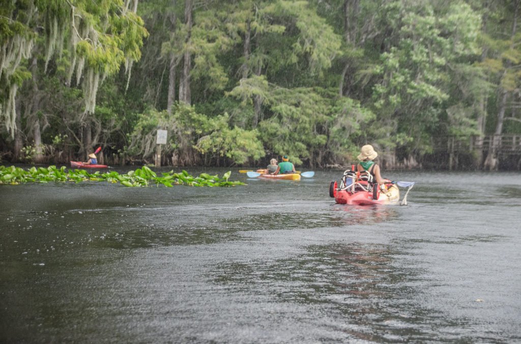 Entering Manatee Spring Run