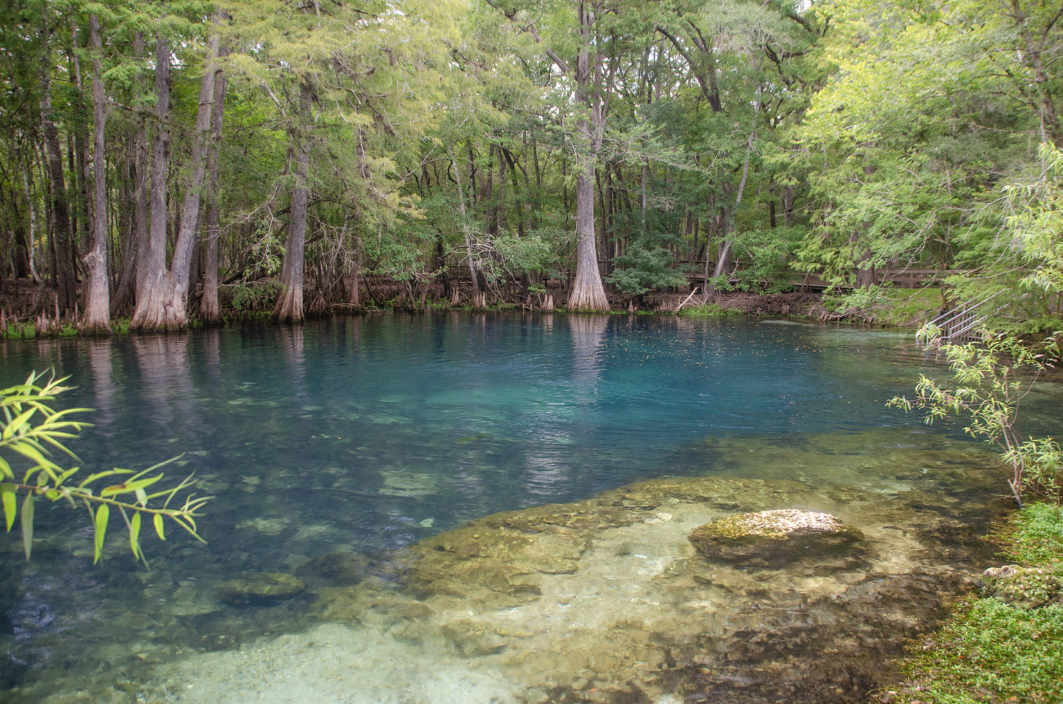 Manatee Spring | Florida Paddle Notes