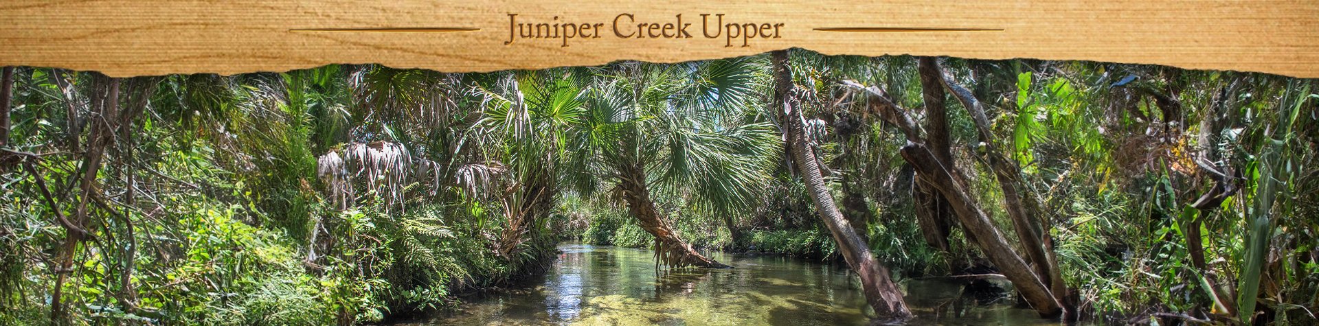 Juniper Creek – Upper