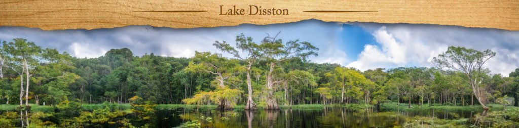 Lake Disston - Featured Image