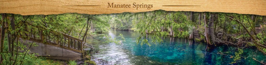 Manatee Springs - Featured Image