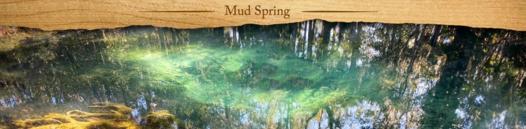 Mud Spring - Featured Image