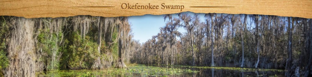 Okefenokee Swamp - Featured Image