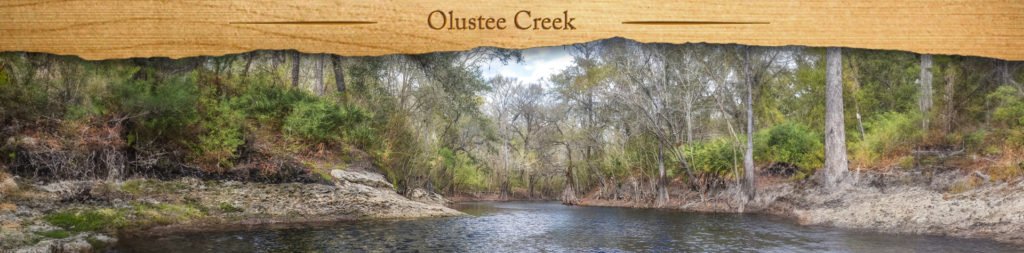 Olustee Creek - Featured Image