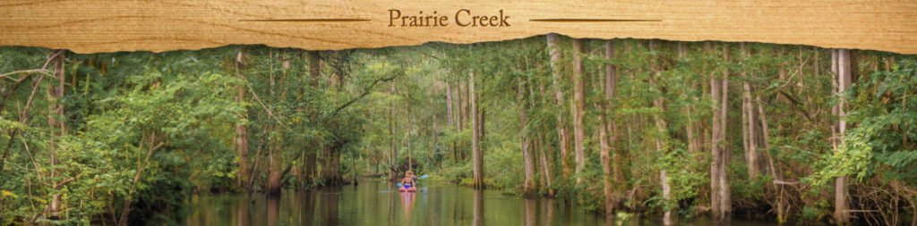 Prairie Creek - Featured Image